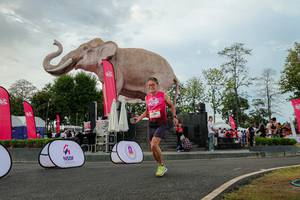 BIB: 
                            <button type="button" onclick="openModal(26528650)" class="btn btn-primary btn-sm float-right btn-popup" data-toggle="modal" data-target=".modal-high-quality">
                        <i class="fas fa-shopping-cart"></i> Add to Cart
                    </button>
                                            <button type="button" onclick="isThisMe(26528650, true)" class="btn btn-success btn-sm float-right btn-popup btn-isme hidden" data-toggle="tooltip" data-placement="bottom" title="นี่คือรูปของคุณใช่ไหม คลิกที่นี่เพื่อเอาเข้าอัลบั้ม">
                        <i class="fas fa-plus"></i> Add to album
                    </button>
                    <button type="button" onclick="isThisMe(26528650, false)" class="btn btn-warning btn-sm float-right btn-popup btn-isnotme hidden">
                        <i class="fas fa-ban"></i> Remove from album
                    </button>